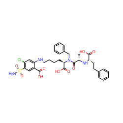 C[C@H](N[C@@H](CCc1ccccc1)C(=O)O)C(=O)N(Cc1ccccc1)[C@H](CCCCNc1cc(Cl)c(S(N)(=O)=O)cc1C(=O)O)C(=O)O ZINC000029389775