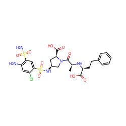 C[C@H](N[C@@H](CCc1ccccc1)C(=O)O)C(=O)N1C[C@@H](NS(=O)(=O)c2cc(S(N)(=O)=O)c(N)cc2Cl)C[C@H]1C(=O)O ZINC000029342587