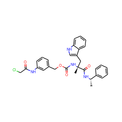 C[C@H](NC(=O)[C@@](C)(Cc1c[nH]c2ccccc12)NC(=O)OCc1cccc(NC(=O)CCl)c1)c1ccccc1 ZINC000027519039