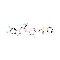 C[C@H](NC(=O)O[C@H](Cn1cnc2cc(Cl)c(Cl)cc21)C(C)(C)C)C(=O)CNS(=O)(=O)c1ccccn1 ZINC000003988882