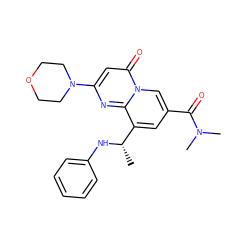 C[C@H](Nc1ccccc1)c1cc(C(=O)N(C)C)cn2c(=O)cc(N3CCOCC3)nc12 ZINC000299833042