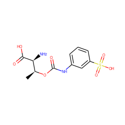 C[C@H](OC(=O)Nc1cccc(S(=O)(=O)O)c1)[C@H](N)C(=O)O ZINC000149318685