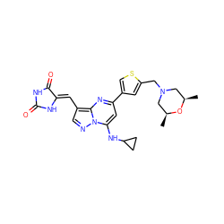 C[C@H]1CN(Cc2cc(-c3cc(NC4CC4)n4ncc(/C=C5\NC(=O)NC5=O)c4n3)cs2)C[C@@H](C)O1 ZINC000205017125