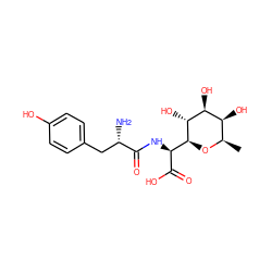 C[C@H]1O[C@@H]([C@H](NC(=O)[C@@H](N)Cc2ccc(O)cc2)C(=O)O)[C@H](O)[C@@H](O)[C@H]1O ZINC000006488790