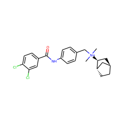 C[N+](C)(Cc1ccc(NC(=O)c2ccc(Cl)c(Cl)c2)cc1)[C@H]1C[C@H]2CC[C@H]1C2 ZINC000253660923