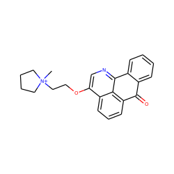 C[N+]1(CCOc2cnc3c4c(cccc24)C(=O)c2ccccc2-3)CCCC1 ZINC000071359407