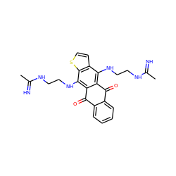 CC(=N)NCCNc1c2c(c(NCCNC(C)=N)c3sccc13)C(=O)c1ccccc1C2=O ZINC000299822952