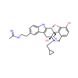 CC(=N)NCCc1ccc2[nH]c3c(c2c1)C[C@@]1(O)[C@H]2Cc4ccc(O)c5c4[C@@]1(CCN2CC1CC1)[C@H]3O5 ZINC000003991141