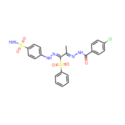 CC(=N\NC(=O)c1ccc(Cl)cc1)/C(=N/Nc1ccc(S(N)(=O)=O)cc1)S(=O)(=O)c1ccccc1 ZINC000103230487