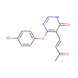 CC(=O)/C=C/c1c(Oc2ccc(O)cc2)nc[nH]c1=O ZINC000072142538