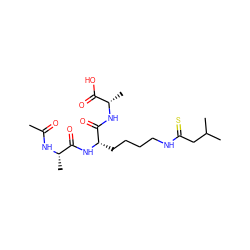 CC(=O)N[C@@H](C)C(=O)N[C@@H](CCCCNC(=S)CC(C)C)C(=O)N[C@@H](C)C(=O)O ZINC000064499050