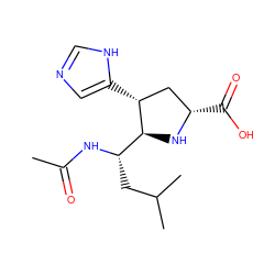 CC(=O)N[C@@H](CC(C)C)[C@@H]1N[C@@H](C(=O)O)C[C@H]1c1cnc[nH]1 ZINC000008566803