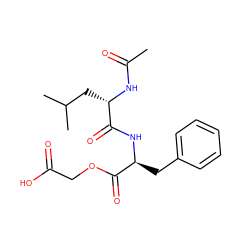 CC(=O)N[C@@H](CC(C)C)C(=O)N[C@@H](Cc1ccccc1)C(=O)OCC(=O)O ZINC000095559324