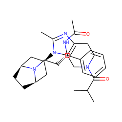 CC(=O)N[C@@H](CCN1[C@H]2CC[C@@H]1C[C@H](n1c(C)nc3c1CN(C(=O)C(C)C)CC3)C2)c1ccccc1 ZINC000101391256