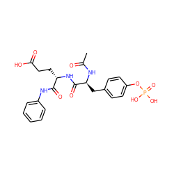 CC(=O)N[C@@H](Cc1ccc(OP(=O)(O)O)cc1)C(=O)N[C@@H](CCC(=O)O)C(=O)Nc1ccccc1 ZINC000013556653