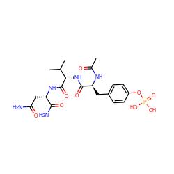 CC(=O)N[C@@H](Cc1ccc(OP(=O)(O)O)cc1)C(=O)N[C@H](C(=O)N[C@@H](CC(N)=O)C(N)=O)C(C)C ZINC000026156308