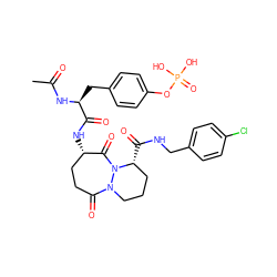 CC(=O)N[C@@H](Cc1ccc(OP(=O)(O)O)cc1)C(=O)N[C@H]1CCC(=O)N2CCC[C@@H](C(=O)NCc3ccc(Cl)cc3)N2C1=O ZINC000028767567