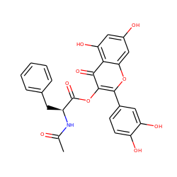 CC(=O)N[C@@H](Cc1ccccc1)C(=O)Oc1c(-c2ccc(O)c(O)c2)oc2cc(O)cc(O)c2c1=O ZINC000043017473