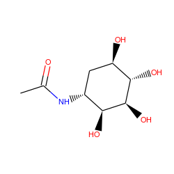 CC(=O)N[C@@H]1C[C@@H](O)[C@H](O)[C@@H](O)[C@H]1O ZINC000169330482