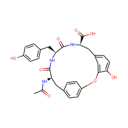 CC(=O)N[C@@H]1Cc2ccc(cc2)Oc2cc(ccc2O)C[C@H](C(=O)O)NC(=O)[C@H](Cc2ccc(O)cc2)NC1=O ZINC000026569845