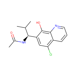 CC(=O)N[C@H](c1cc(Cl)c2cccnc2c1O)C(C)C ZINC000036380874