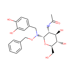 CC(=O)N[C@H]1[C@@H](N(Cc2ccc(O)c(O)c2)OCc2ccccc2)O[C@H](CO)[C@@H](O)[C@@H]1O ZINC000169321298