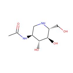 CC(=O)N[C@H]1CN[C@H](CO)[C@@H](O)[C@@H]1O ZINC000005167384