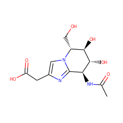 CC(=O)N[C@H]1c2nc(CC(=O)O)cn2[C@H](CO)[C@@H](O)[C@@H]1O ZINC000029042785