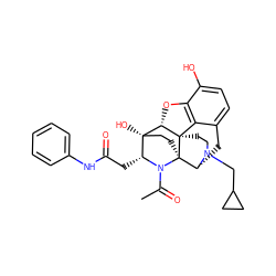 CC(=O)N1[C@H](CC(=O)Nc2ccccc2)[C@]2(O)CC[C@]13[C@H]1Cc4ccc(O)c5c4[C@]3(CCN1CC1CC1)[C@H]2O5 ZINC000103145727
