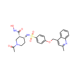 CC(=O)N1CC[C@@H](NS(=O)(=O)c2ccc(OCc3cc(C)nc4ccccc34)cc2)[C@@H](C(=O)NO)C1 ZINC000038212040