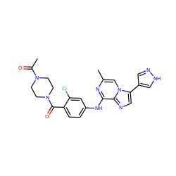 CC(=O)N1CCN(C(=O)c2ccc(Nc3nc(C)cn4c(-c5cn[nH]c5)cnc34)cc2Cl)CC1 ZINC000072122927