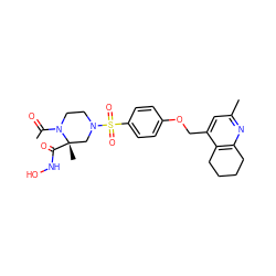 CC(=O)N1CCN(S(=O)(=O)c2ccc(OCc3cc(C)nc4c3CCCC4)cc2)C[C@]1(C)C(=O)NO ZINC001772622673