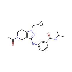 CC(=O)N1CCc2c(c(Nc3cccc(C(=O)NC(C)C)c3)nn2CC2CC2)C1 ZINC000584905076