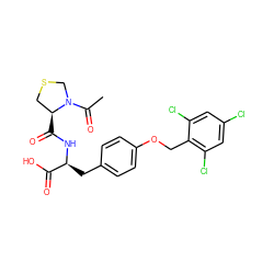 CC(=O)N1CSC[C@@H]1C(=O)N[C@@H](Cc1ccc(OCc2c(Cl)cc(Cl)cc2Cl)cc1)C(=O)O ZINC000003916595