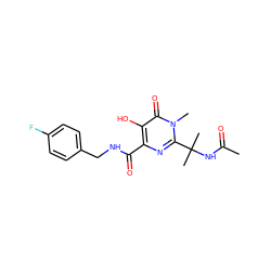 CC(=O)NC(C)(C)c1nc(C(=O)NCc2ccc(F)cc2)c(O)c(=O)n1C ZINC000040950566