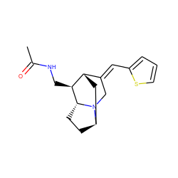 CC(=O)NC[C@H]1[C@H]2C[C@H]3CC[C@H]1N3C/C2=C\c1cccs1 ZINC000253639044