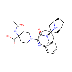 CC(=O)NC1(C(=O)O)CCN(c2nc3ccccc3n([C@@H]3C[C@@H]4CC[C@H](C3)N4C3CCCCCCC3)c2=O)CC1 ZINC000114713009