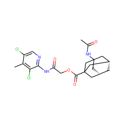 CC(=O)NC12C[C@H]3C[C@@H](C1)CC(C(=O)OCC(=O)Nc1ncc(Cl)c(C)c1Cl)(C3)C2 ZINC000013152727