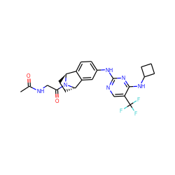 CC(=O)NCC(=O)N1[C@H]2CC[C@H]1c1cc(Nc3ncc(C(F)(F)F)c(NC4CCC4)n3)ccc12 ZINC000100015731