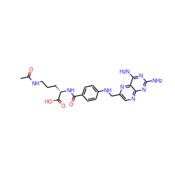 CC(=O)NCCC[C@H](NC(=O)c1ccc(NCc2cnc3nc(N)nc(N)c3n2)cc1)C(=O)O ZINC000001532989