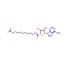 CC(=O)NCCCCCCCCNC(=O)[C@H]1O[C@@H](n2cnc3c(N)ncnc32)[C@H](O)[C@@H]1O ZINC000013861517