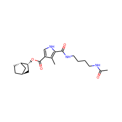 CC(=O)NCCCCNC(=O)c1[nH]cc(C(=O)O[C@@H]2C[C@H]3CC[C@H]2C3)c1C ZINC000253654827