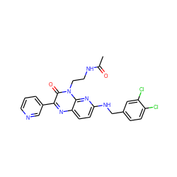 CC(=O)NCCn1c(=O)c(-c2cccnc2)nc2ccc(NCc3ccc(Cl)c(Cl)c3)nc21 ZINC000040953020