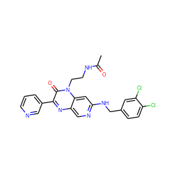 CC(=O)NCCn1c(=O)c(-c2cccnc2)nc2cnc(NCc3ccc(Cl)c(Cl)c3)cc21 ZINC000040957133