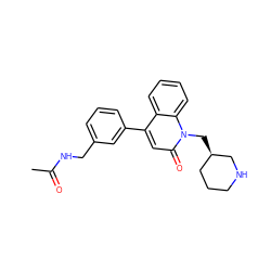 CC(=O)NCc1cccc(-c2cc(=O)n(C[C@@H]3CCCNC3)c3ccccc23)c1 ZINC000095590934