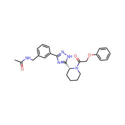 CC(=O)NCc1cccc(-c2n[nH]c([C@H]3CCCCN3C(=O)COc3ccccc3)n2)c1 ZINC000299859011