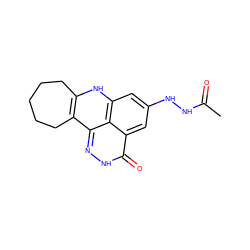 CC(=O)NNc1cc2[nH]c3c(c4n[nH]c(=O)c(c1)c24)CCCCC3 ZINC000150095013