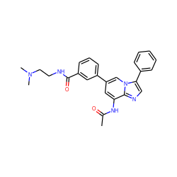 CC(=O)Nc1cc(-c2cccc(C(=O)NCCN(C)C)c2)cn2c(-c3ccccc3)cnc12 ZINC000061905163