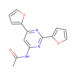 CC(=O)Nc1cc(-c2ccco2)nc(-c2ccco2)n1 ZINC000066100174