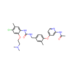 CC(=O)Nc1cc(Oc2ccc(CNC(=O)Nc3cc(C)c(Cl)cc3OCCN(C)C)cc2C)ccn1 ZINC000146165863